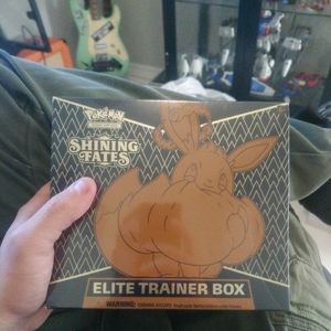 Pokemon shinning fates etb